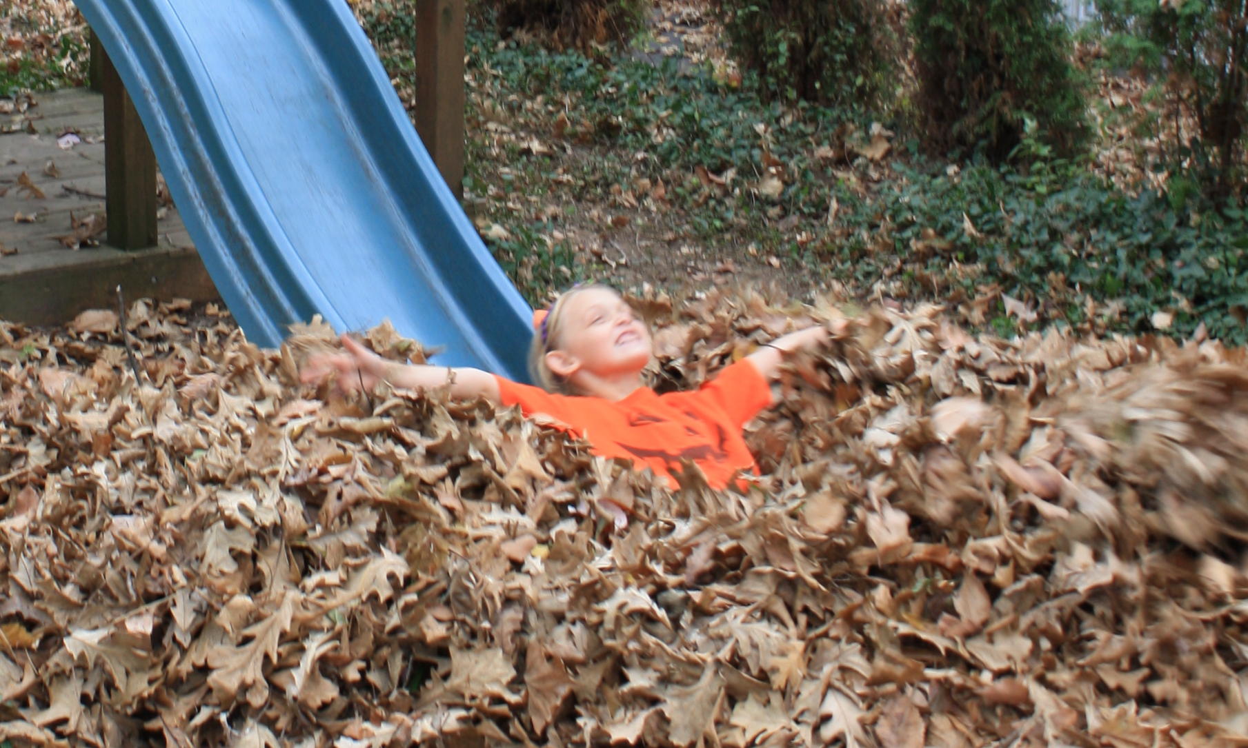 2010_10_25 Cate slides into leaves.jpg